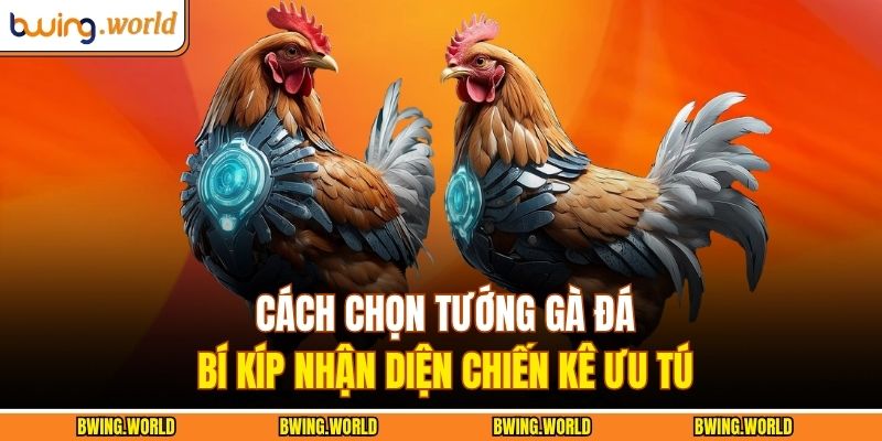 Cách Chọn Tướng Gà Đá - Bí Kíp Nhận Diện Chiến Kê Ưu Tú 7 Cách chọn tướng gà đá