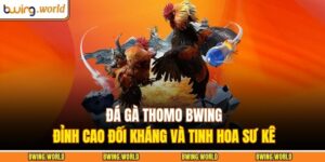 Đá Gà Thomo BWING – Đỉnh Cao Đối Kháng Và Tinh Hoa Sư Kê 2 Đá gà Thomo BWING