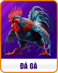 Trang chủ 22 da ga