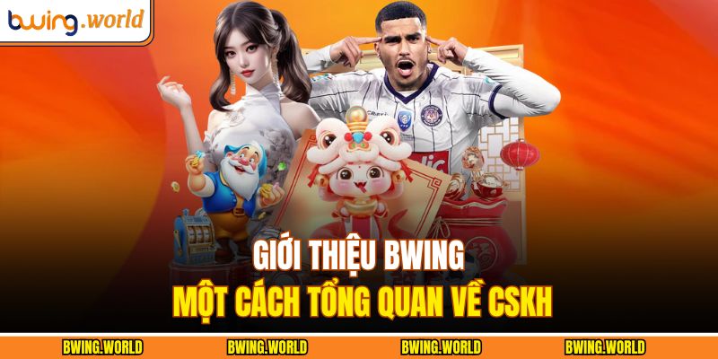 Giới Thiệu BWING 3 Giới thiệu BWING một cách tổng quan về CSKH