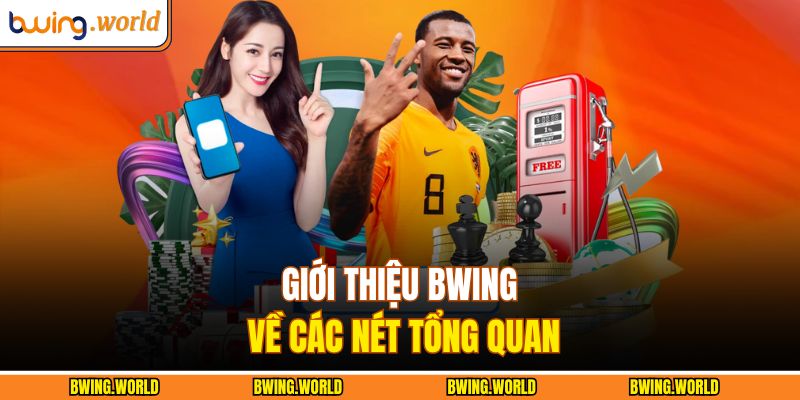 Giới Thiệu BWING 1 Giới thiệu BWING về các nét tổng quan