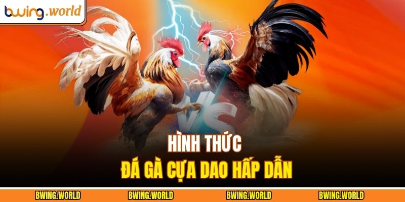 Đá Gà Cựa Dao - Trận Đấu Kịch Tính Bùng Nổ Sức Mạnh 2 Hình thức đá gà cựa dao hấp dẫn