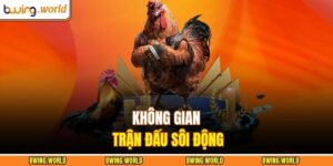 Đá Gà Cựa Dao - Trận Đấu Kịch Tính Bùng Nổ Sức Mạnh 10 Đá gà cựa dao