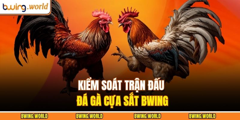 Kiểm soát trận đấu đá gà cựa sắt BWING