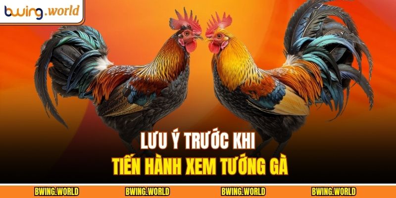 Cách Chọn Tướng Gà Đá - Bí Kíp Nhận Diện Chiến Kê Ưu Tú 4 Lưu ý trước khi tiến hành xem tướng gà