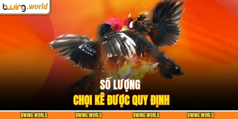 Đá Gà Philippines – Trận Đấu Của Các Chiến Binh Huyền Thoại 3 Số lượng chọi kê được quy định