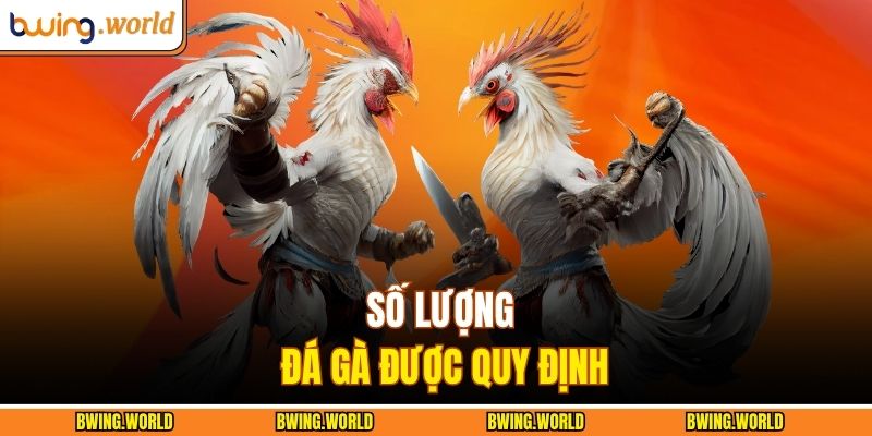 Số lượng đá gà được quy định 