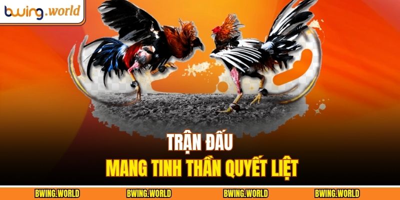 Trận đấu mang tinh thần quyết liệt